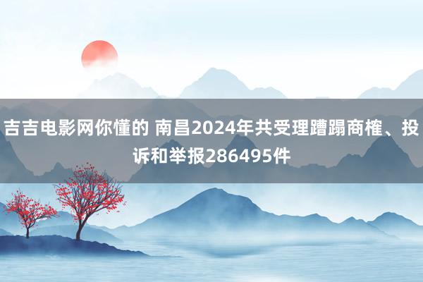 吉吉电影网你懂的 南昌2024年共受理蹧蹋商榷、投诉和举报286495件