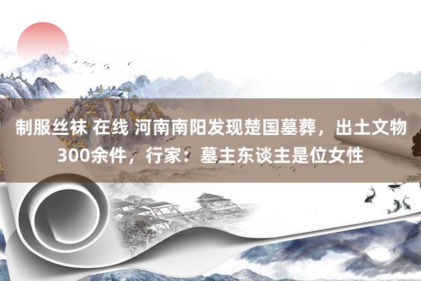 制服丝袜 在线 河南南阳发现楚国墓葬，出土文物300余件，行家：墓主东谈主是位女性