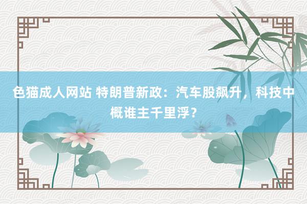 色猫成人网站 特朗普新政：汽车股飙升，科技中概谁主千里浮？