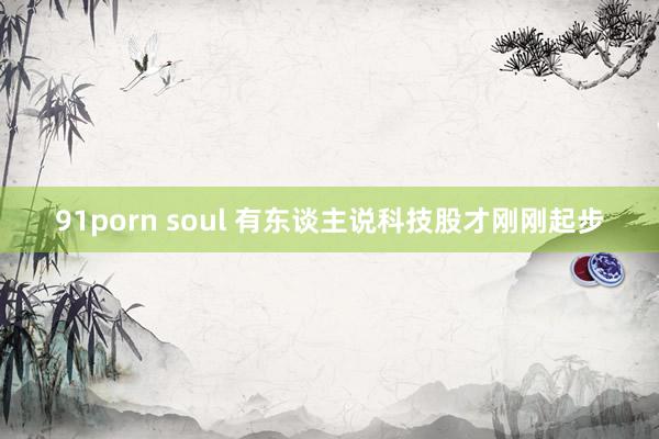 91porn soul 有东谈主说科技股才刚刚起步