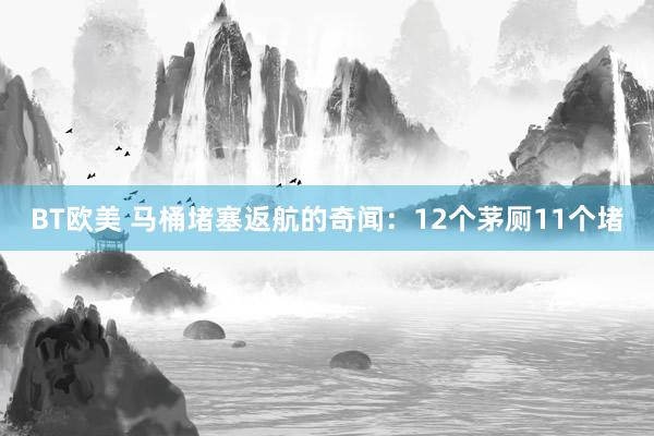 BT欧美 马桶堵塞返航的奇闻：12个茅厕11个堵