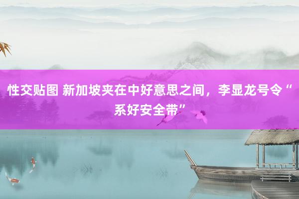 性交贴图 新加坡夹在中好意思之间，李显龙号令“系好安全带”