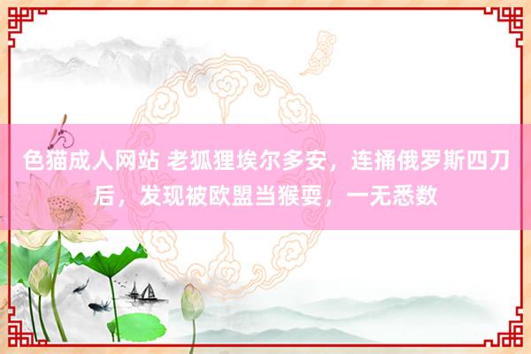 色猫成人网站 老狐狸埃尔多安，连捅俄罗斯四刀后，发现被欧盟当猴耍，一无悉数