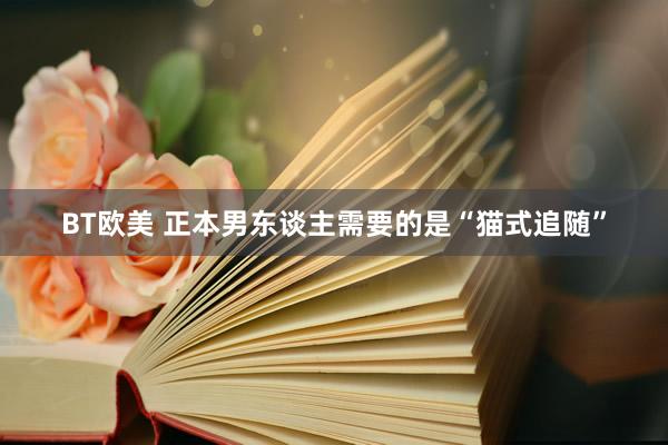 BT欧美 正本男东谈主需要的是“猫式追随”