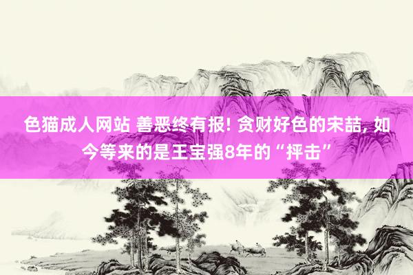 色猫成人网站 善恶终有报! 贪财好色的宋喆， 如今等来的是王宝强8年的“抨击”