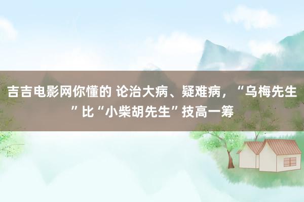 吉吉电影网你懂的 论治大病、疑难病，“乌梅先生”比“小柴胡先生”技高一筹