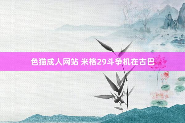 色猫成人网站 米格29斗争机在古巴